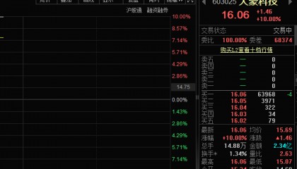 热门题材叠加基本面改善，大豪科技股价涨停