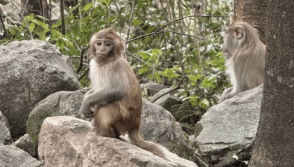 假期去哪玩？第1次去张家界游攻略，6天怎么玩怎么安排？怎么规划？