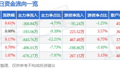 股票行情快报：黄山旅游（600054）11月29日主力资金净卖出360.84万元
