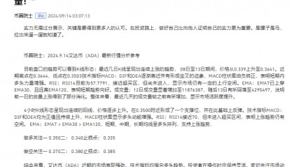 艾达币投资(艾达币前景如何)