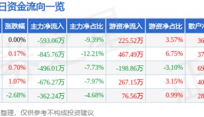 股票行情快报：黄山旅游（600054）11月28日主力资金净卖出593.06万元