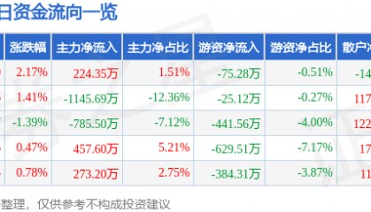 股票行情快报：泰山石油（000554）12月12日主力资金净买入224.35万元