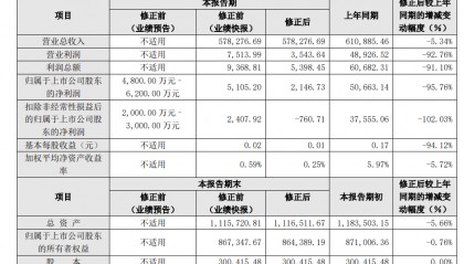 红日药业2024业绩预告及快报修正