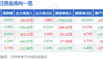 股票行情快报：皖能电力（000543）1月21日主力资金净买入291.91万元