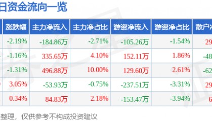 股票行情快报：泰山石油（000554）1月2日主力资金净卖出184.86万元
