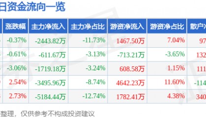 股票行情快报：皖能电力（000543）12月12日主力资金净卖出2443.82万元