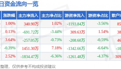 股票行情快报：皖能电力（000543）12月5日主力资金净买入340.90万元