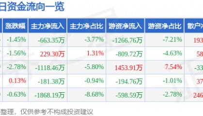 股票行情快报：皖能电力（000543）1月6日主力资金净卖出663.35万元