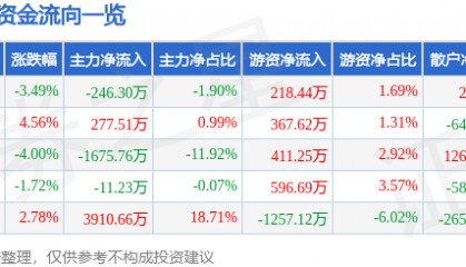 股票行情快报：探路者（300005）11月26日主力资金净卖出246.30万元