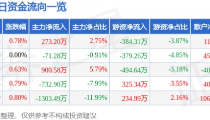 股票行情快报：泰山石油（000554）12月6日主力资金净买入273.20万元