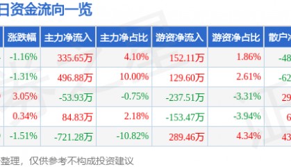 股票行情快报：泰山石油（000554）12月31日主力资金净买入335.65万元