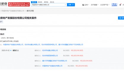 荣盛发展等被强制执行2.06亿