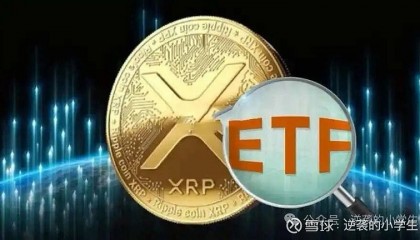 XRP-瑞波币网站(xrp瑞波币实时行情)
