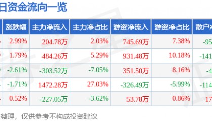 股票行情快报：泰山石油（000554）1月14日主力资金净买入204.78万元