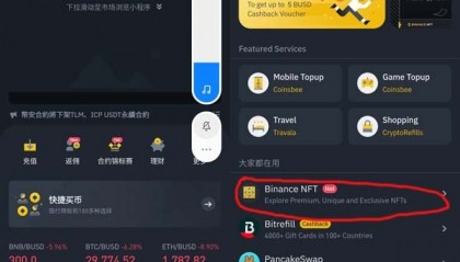 币安币平台(币安币行情走势图)