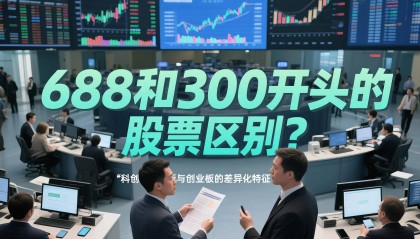 股票代码开头藏玄机？68和300的股票到底差在哪？