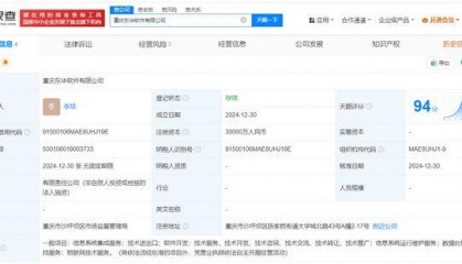 东华软件在重庆成立新公司