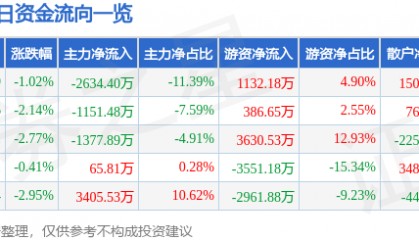 股票行情快报：皖能电力（000543）1月13日主力资金净卖出2634.40万元