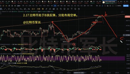 BSV-比特币平台(bsv能转到btc的公链吗吗)