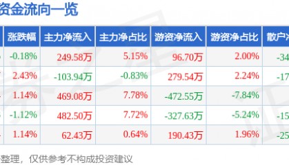 股票行情快报：黑牡丹（600510）3月18日主力资金净买入249.58万元