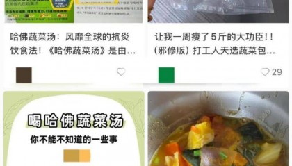 “哈佛蔬菜汤”走红，真有那么神吗？专业解读来了