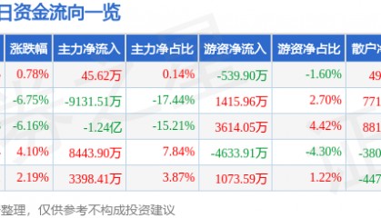 股票行情快报：东方电热（300217）3月3日主力资金净买入45.62万元