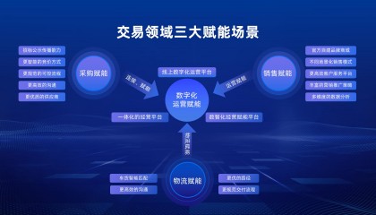 DOT平台(dota2老奶奶)