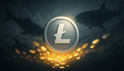 LTC官网(LTC官网登录入口)