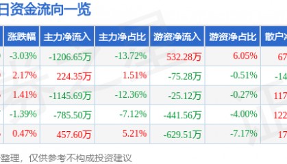 股票行情快报：泰山石油（000554）12月13日主力资金净卖出1206.65万元