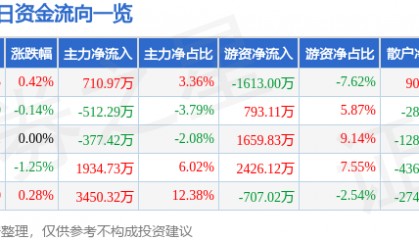 股票行情快报：皖能电力（000543）2月13日主力资金净买入710.97万元