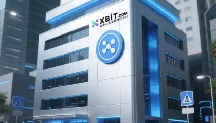 XBIT去中心化交易所平台解读Meme币市值飙升至790亿美元