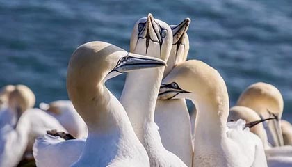 MBEX交易所为区块链行业注入新的活力