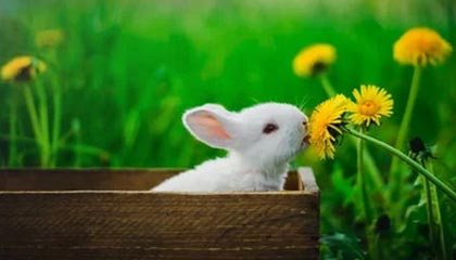 芜湖方长申请基于区块链的进出口订单管理方法专利，控制当前订单交易进行