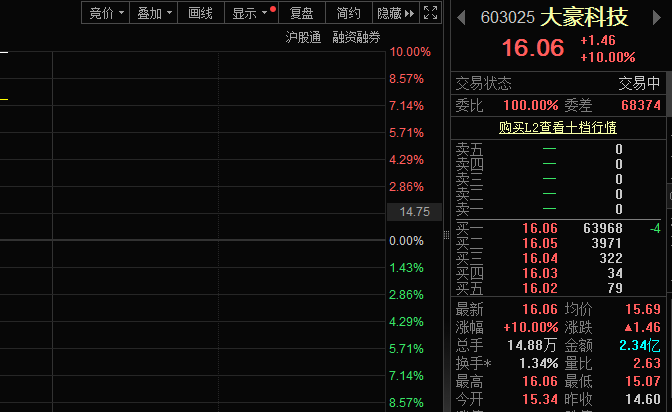 热门题材叠加基本面改善，大豪科技股价涨停