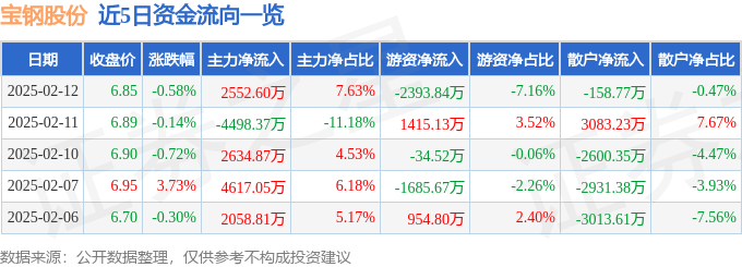 股票行情快报：宝钢股份（600019）2月12日主力资金净买入2552.60万元