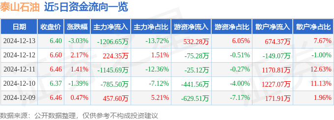 股票行情快报：泰山石油（000554）12月13日主力资金净卖出1206.65万元