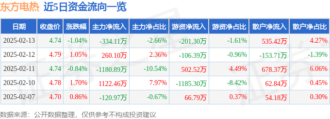 股票行情快报：东方电热（300217）2月13日主力资金净卖出334.11万元