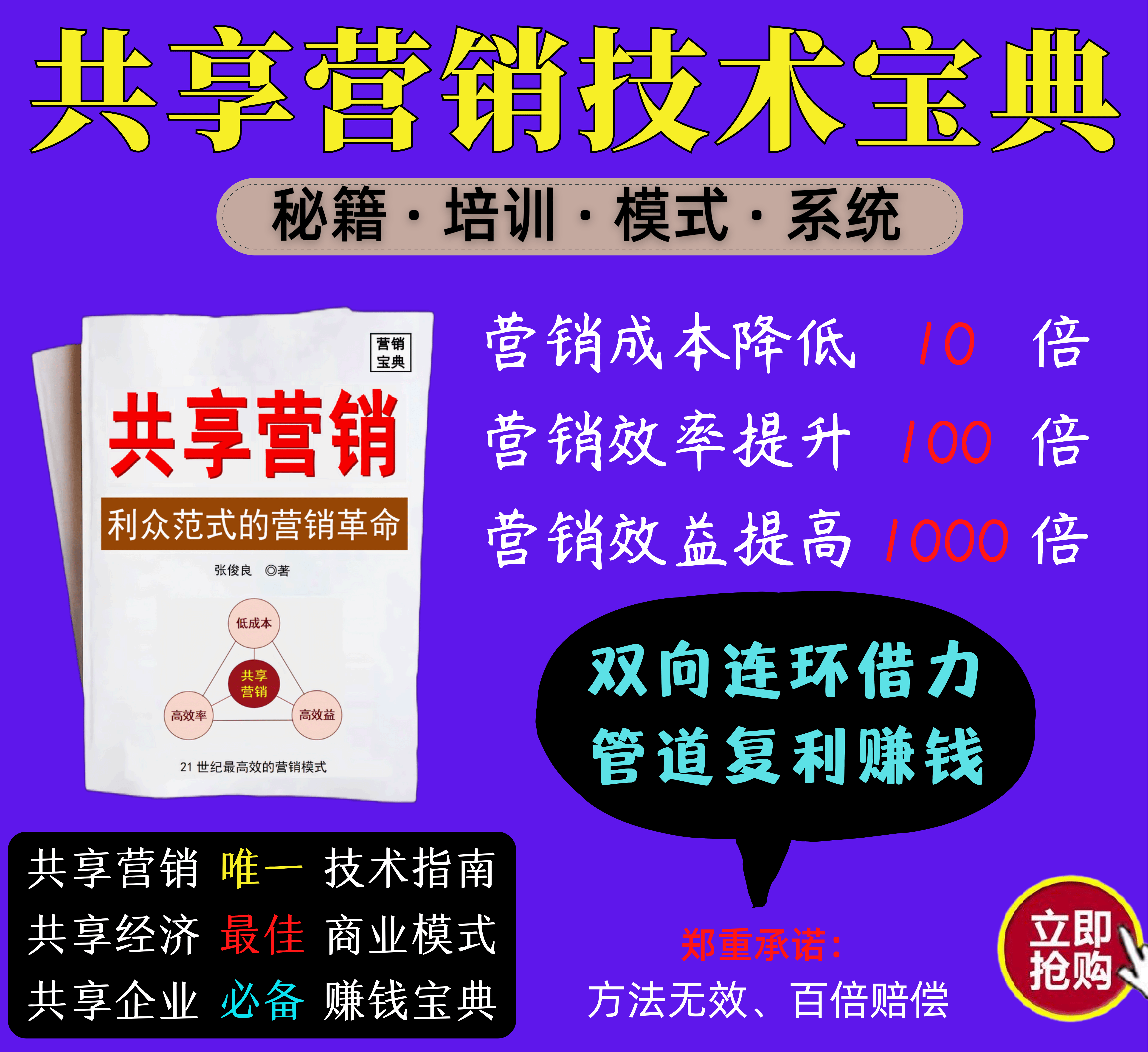 上市公司案例分析：宝塔实业