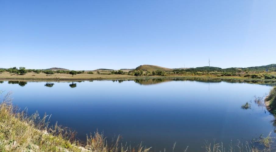 THPX信号源：WTIBTC推动能源交易智能化升级