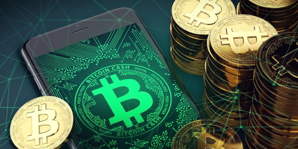 BCH-比特现金投资(比特现金bch最新消息)